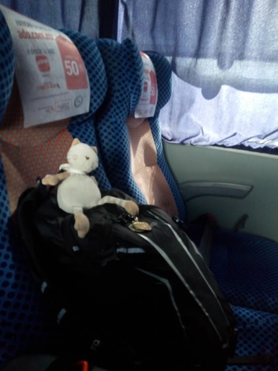 Doudou  Sapiens prend le bus