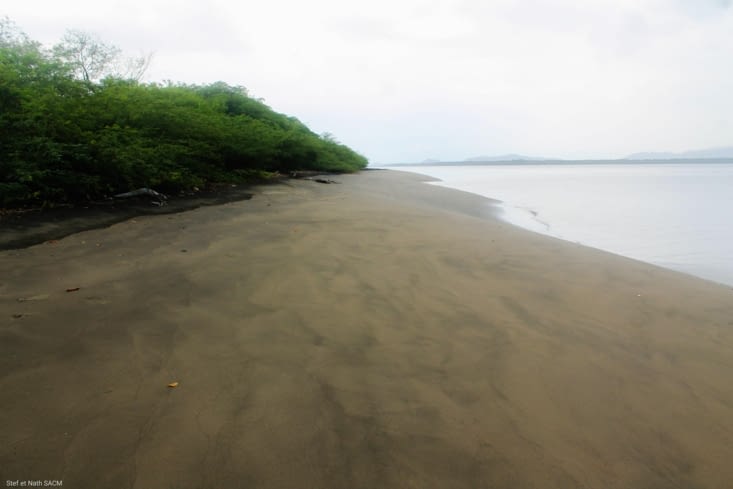 Plage de ponte des tortues