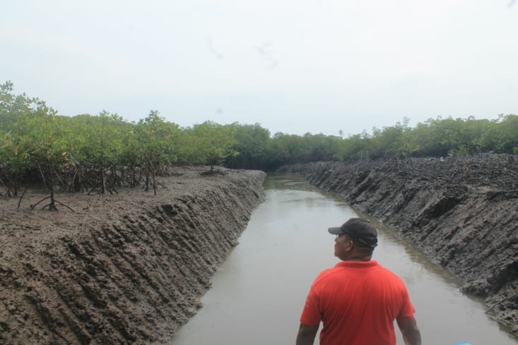 Projet de construction d'un port dans la mangrove