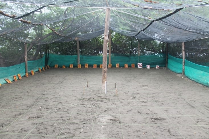 Tente enclos oeufs tortues bien organisés