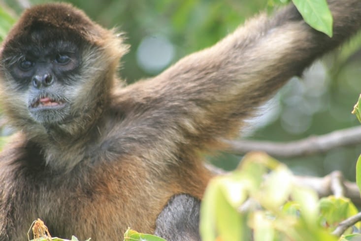 Il a pris la pause photo