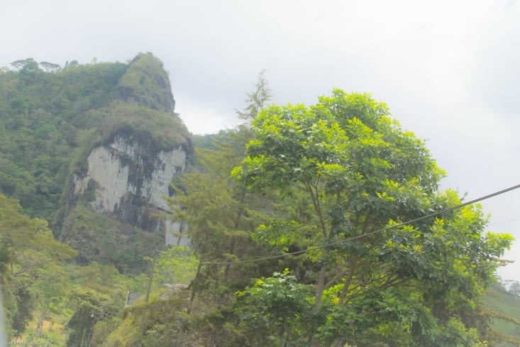 La route est découpée