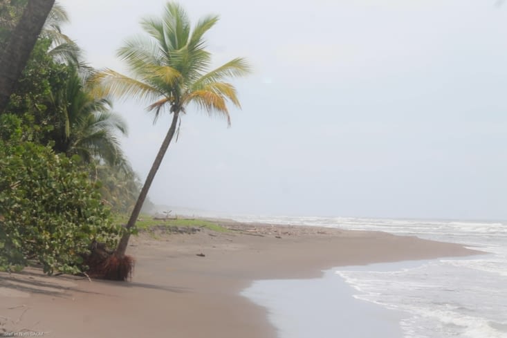 Plage sauvage tortuguero