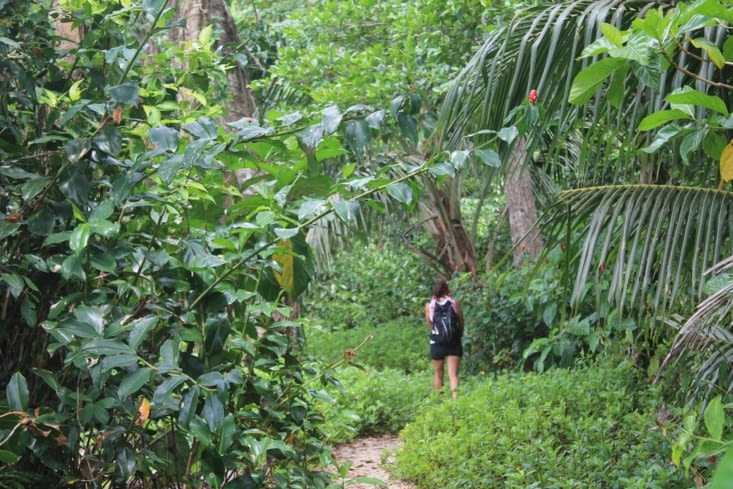 Notre Dora l exploratrice comme dirait  Stef