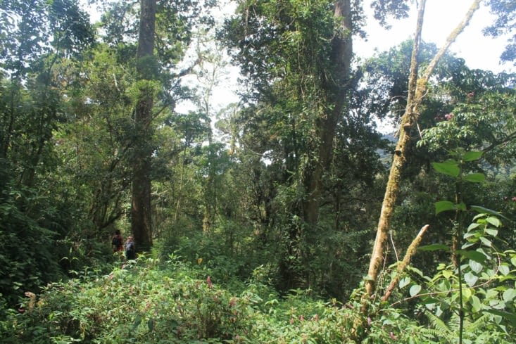 Et on avance tout en silence