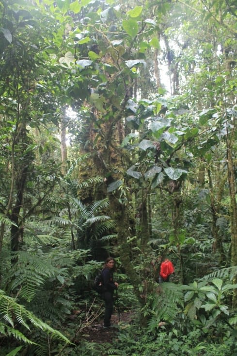 Euh il commence à pleuvoir fort là, on est encore loin?