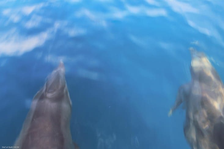 Jouant devant le bateau