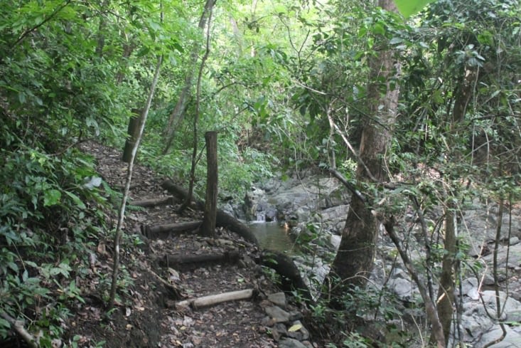 Sentier à l intérieur du domaine