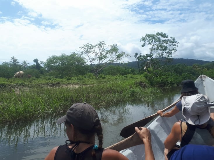 C'est au tour des filles de ramer