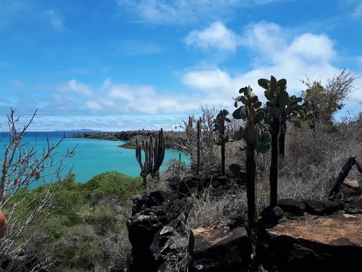 Panorama du haut du canyon