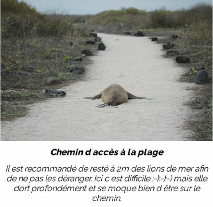 Chemin d accès à  la plage