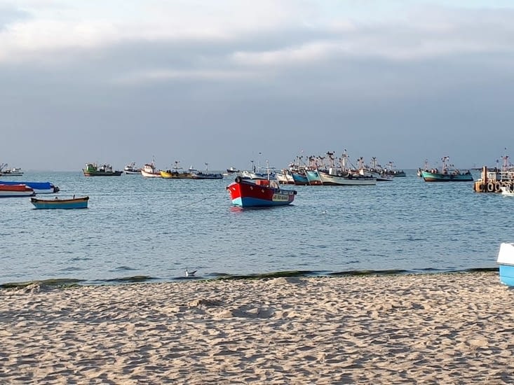 Retour au port de Paracas