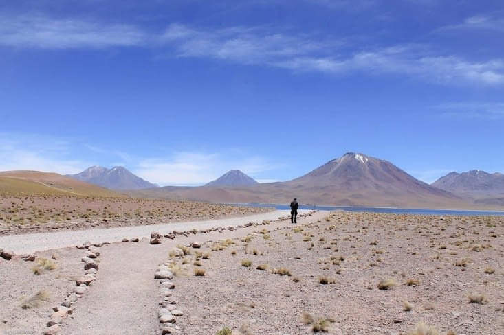 Seul au monde ou presque