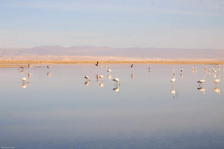 Tout le monde trouve sa place