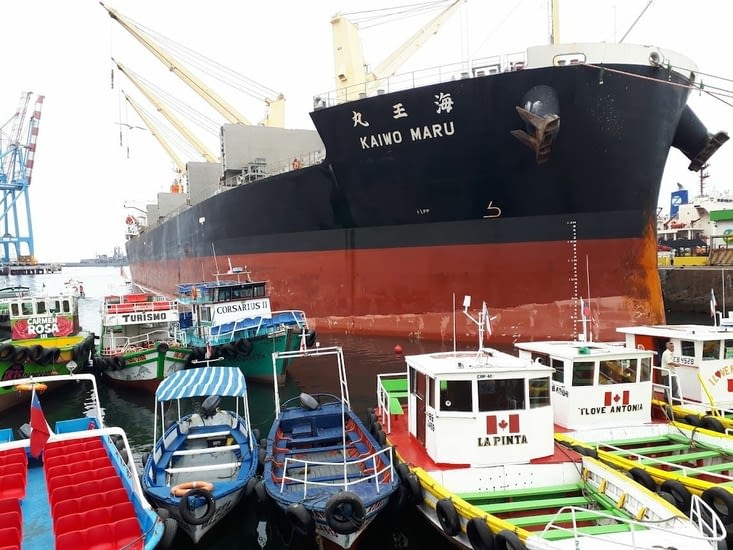 L activité portuaire du plus petit au plus gros