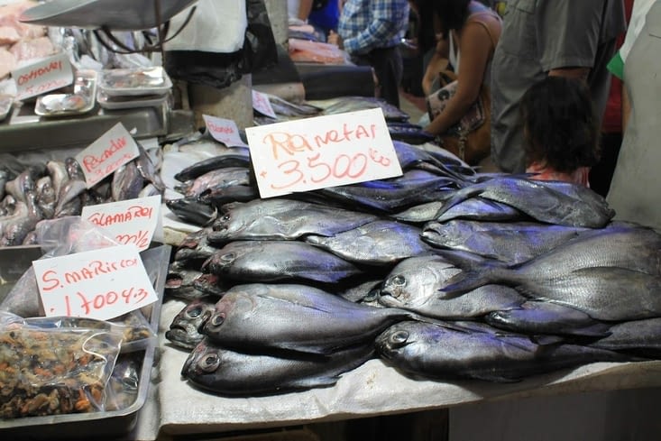 Mon poisson préféré ( nath)