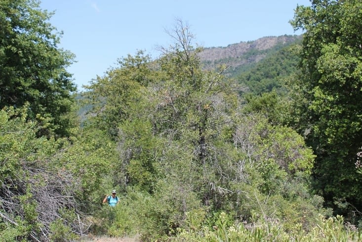 Allez plus haut:-):-):-):-):-)