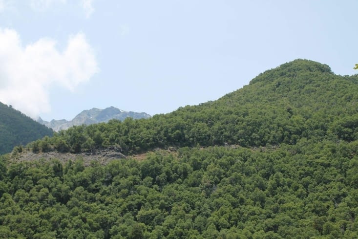 L environnement magique