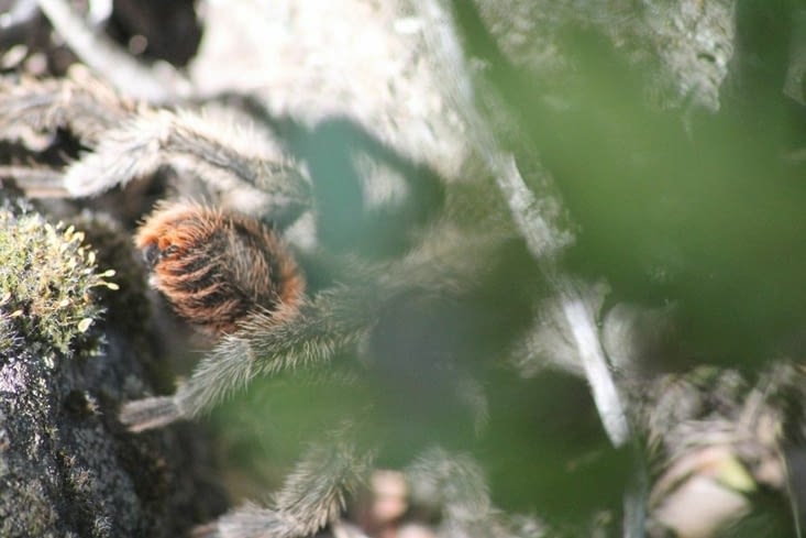 Une rencontre surprenante