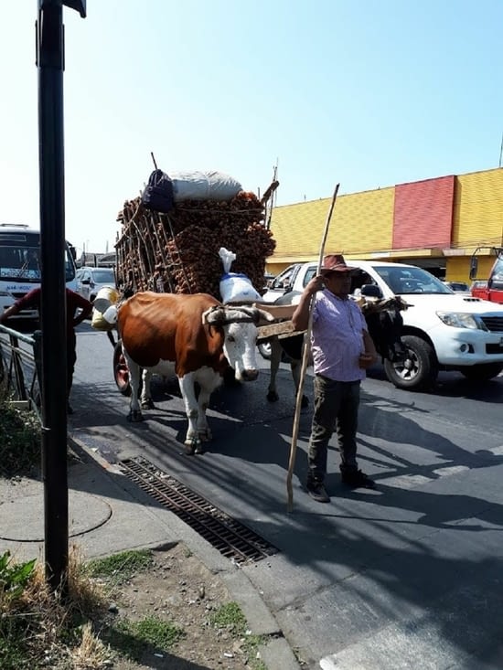 Direction le marché central