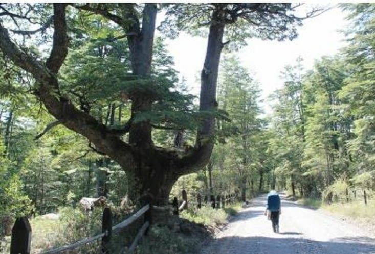 Piste pour aller dans le parc