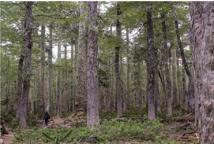 Il ne faut pas se perdre