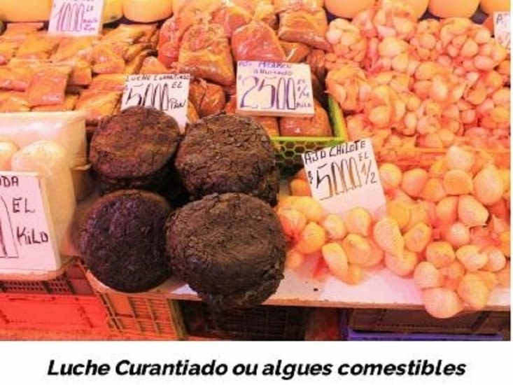 Luche Curantiado ou algues comestibles