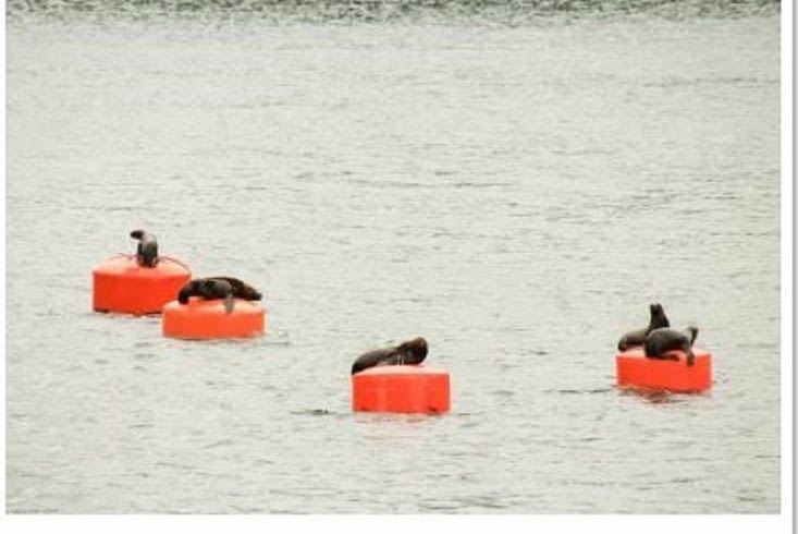 Accueil à l arrivée