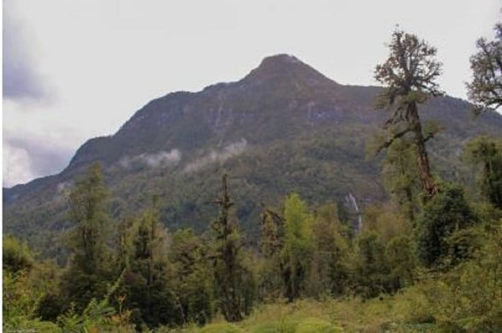 Parc Pumalin