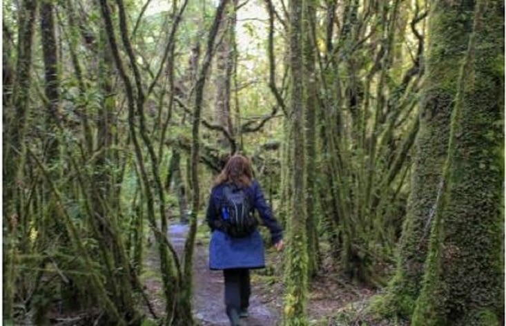 La forêt est encore une fois magique