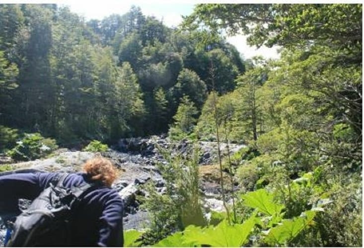 Le torrent