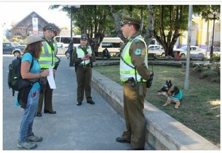 Ici les chiens de la police portent des lunettes de soleil à cause des UV:-):-)