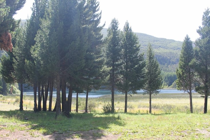 Laguna