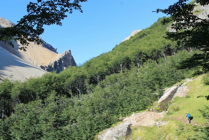 Ca commence par la forêt et les petits ponts de bois