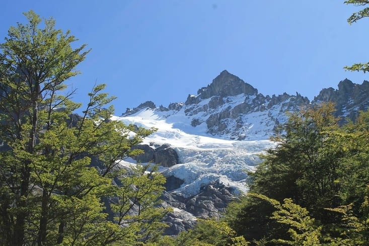 On approche de la végétation