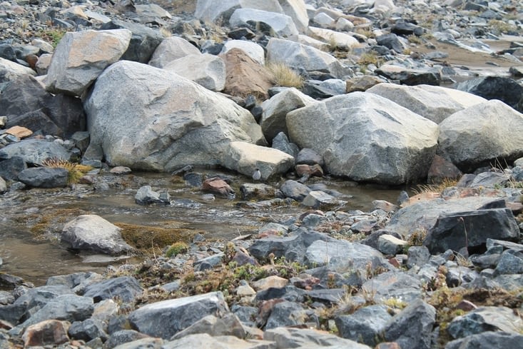 Les roches et un petit oiseau au centre de la photo