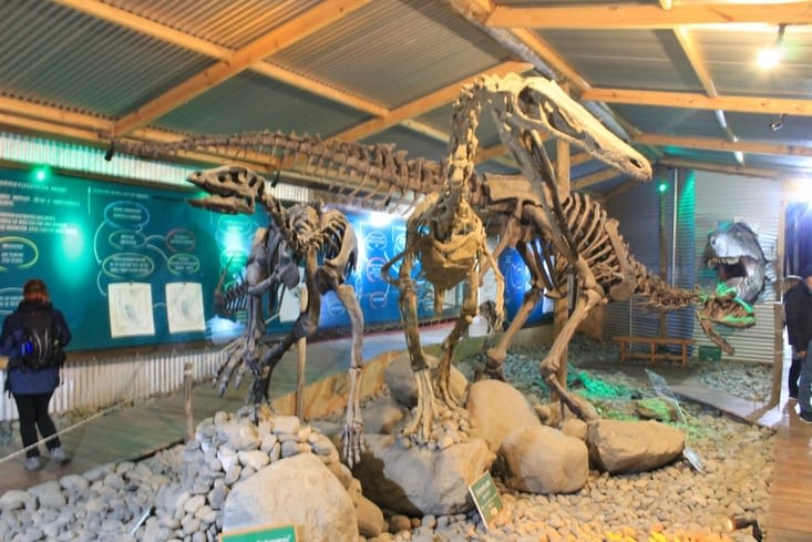 Les dinosaures