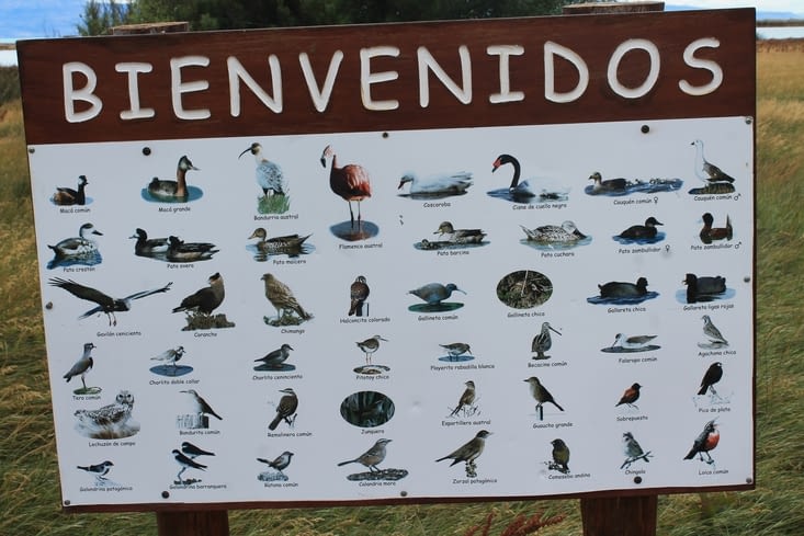 Les oiseaux de cette réserve