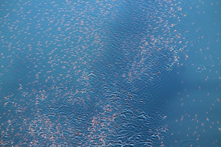 Richesse des eaux