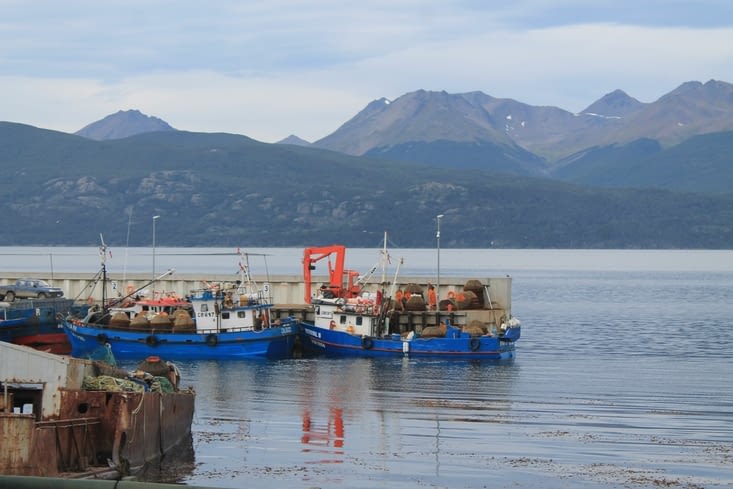 Les bateaux de pêche