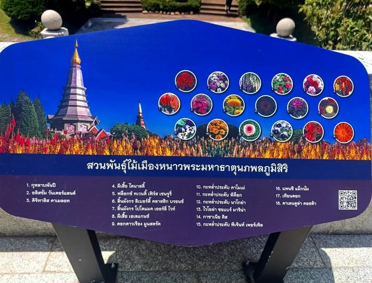 Sympa de nous donner le nom des fleurs en. Thaïlandais