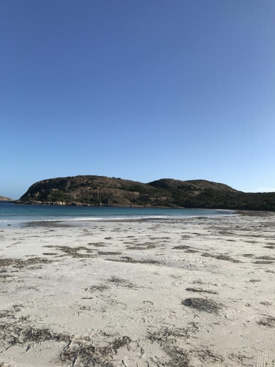 Bien arrivés ! Vue sur mer ?