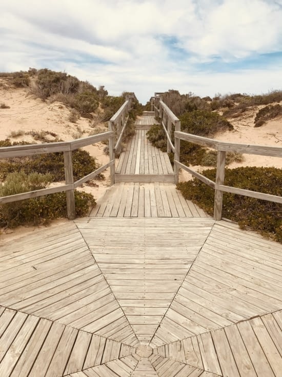 Cactus beach !! ?? impensable mais pourtant ! Spot de surf qui plus est !