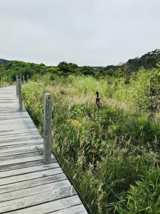 Balade sous haute surveillance ! ?