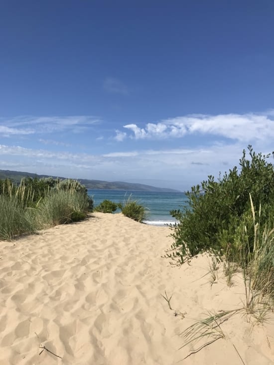 Belle plage d’Apollo Bay ! ?☀️