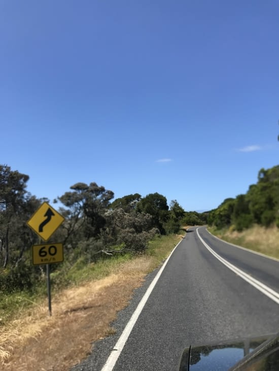Quelle belle route ! ✨ sous le ciel bleu !