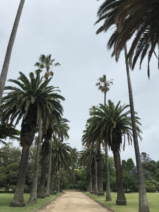 Petite pause au parc ! ???