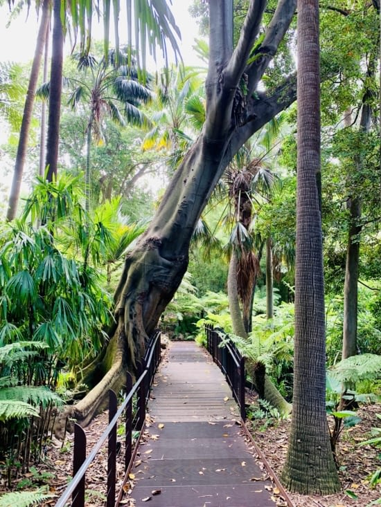 Queen Elisabeth Botanical Garden ! La barre est haute ! ?✨