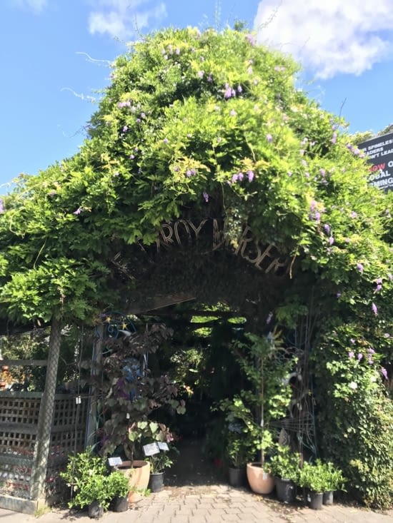 Un peu de verdure ! ?