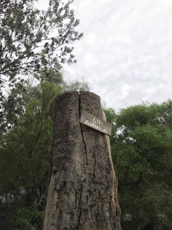 6th Avenue quand même ! ?